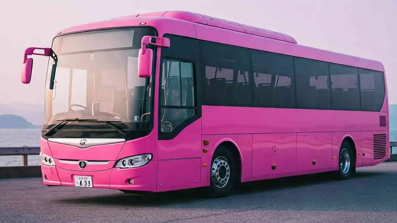 Balochistan Starts Pink Bus Service for Women in Quetta