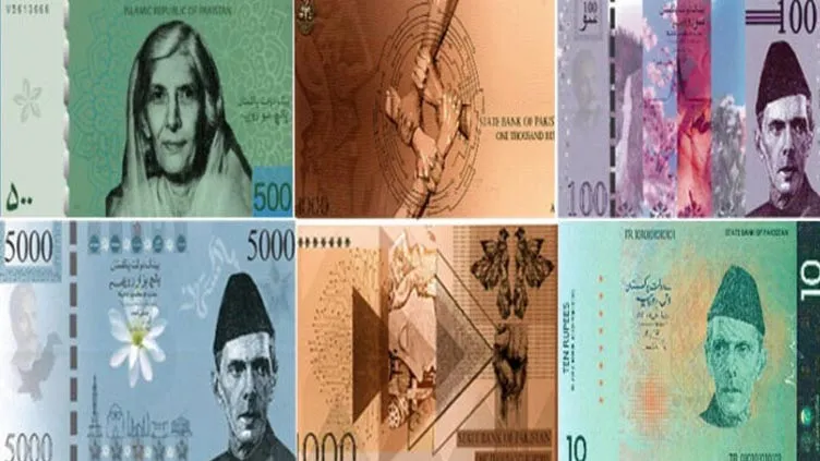 Fatima Jinnah or Maryam Nawaz? SBP Proposes Women on New Currency Notes