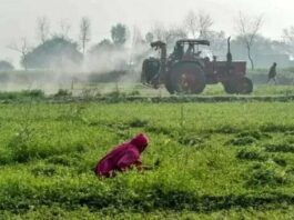 PM Shehbaz Sharif and CM Maryam Nawaz launch PAFDA in Punjab