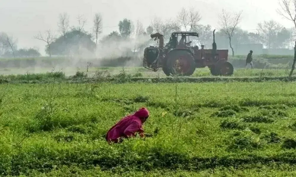 Punjab Starts Pakistan’s First Agriculture, Food and Drug Authority