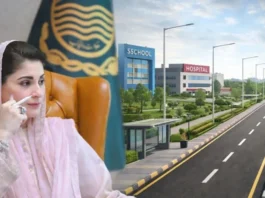 Example of standardized urban street design in Punjab