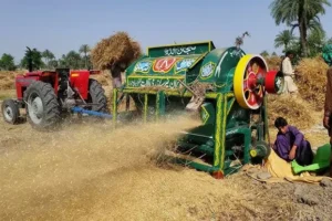 Pakistan Likely to Miss Wheat Production Target Again Despite Bigger Crop