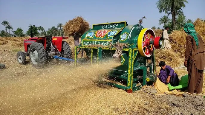 Pakistan Likely to Miss Wheat Production Target Again Despite Bigger Crop